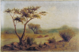 Bild Gemälde- C. Behncke - Afrikanische Landschaft