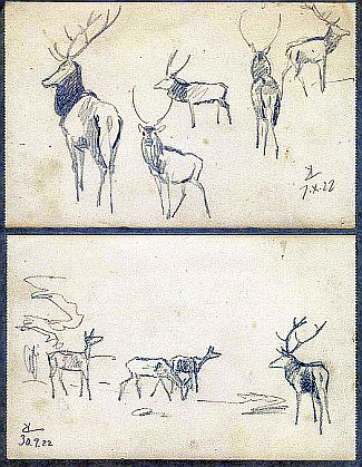 Bild Gemälde - Karl Lotze - Bleistift-Skizzen Hirsche und Kühe