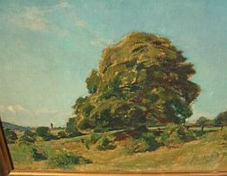 Bild Gemälde - Willy Ter Hell - Großer Baum bei Hofgeismar