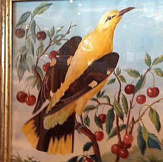 Bild Gemälde - Vogelguache 1 - Pirol und Eichelhäher
